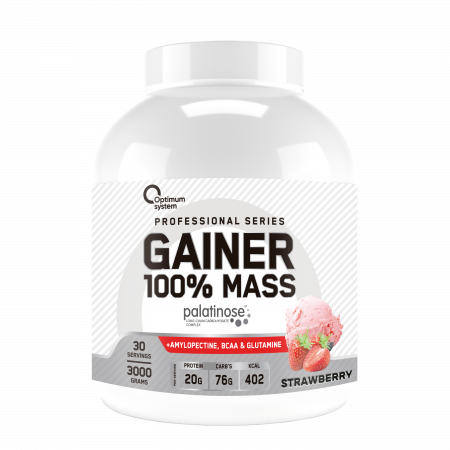 100% Mass Gainer 3000 грамм (Клубника)